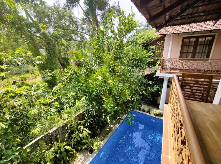 Mandaram Villas Mararikulam Εξωτερικό φωτογραφία